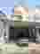 snapedit_1748922914757.jpg