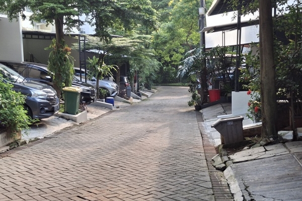 20250624_155203.jpg