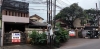 snapedit_1751271345274.jpg