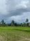 IMG-20260514-WA0002.jpg