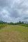 IMG-20260514-WA0023.jpg