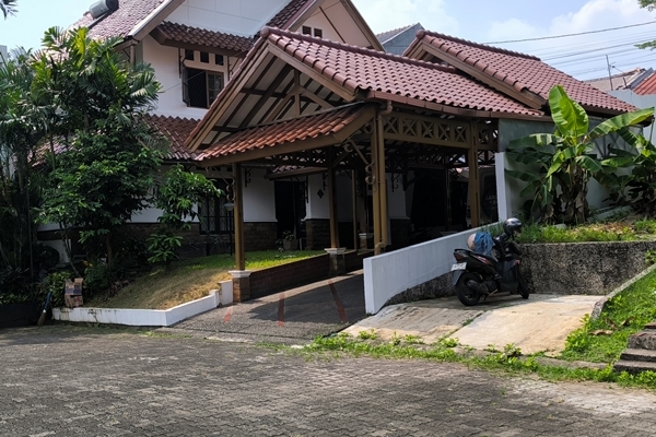 IMG_20260610_111959.jpg