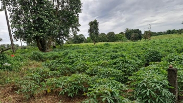 Tanah Di Parung Lokasi Strategis 