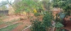 IMG-20260829-WA0009.jpg