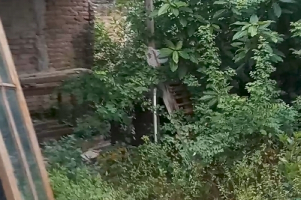 Screenshot_2026-10-02-08-10-27-475_com.miui.videoplayer.jpg